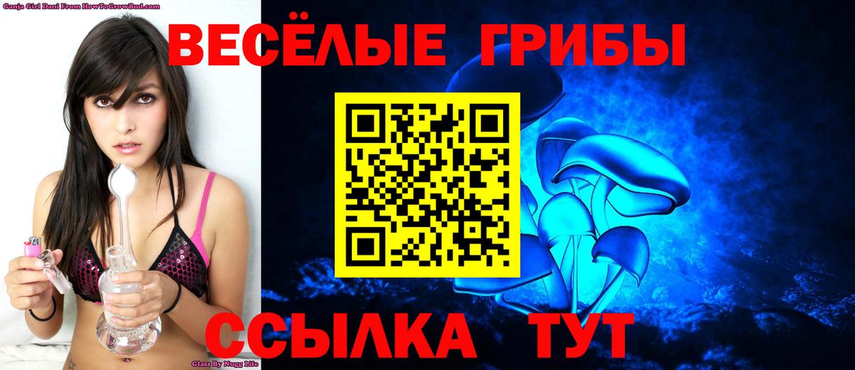 цена наркотик  Псилоцибиновые грибы прущие грибы  Вход с VPN  Озёры 